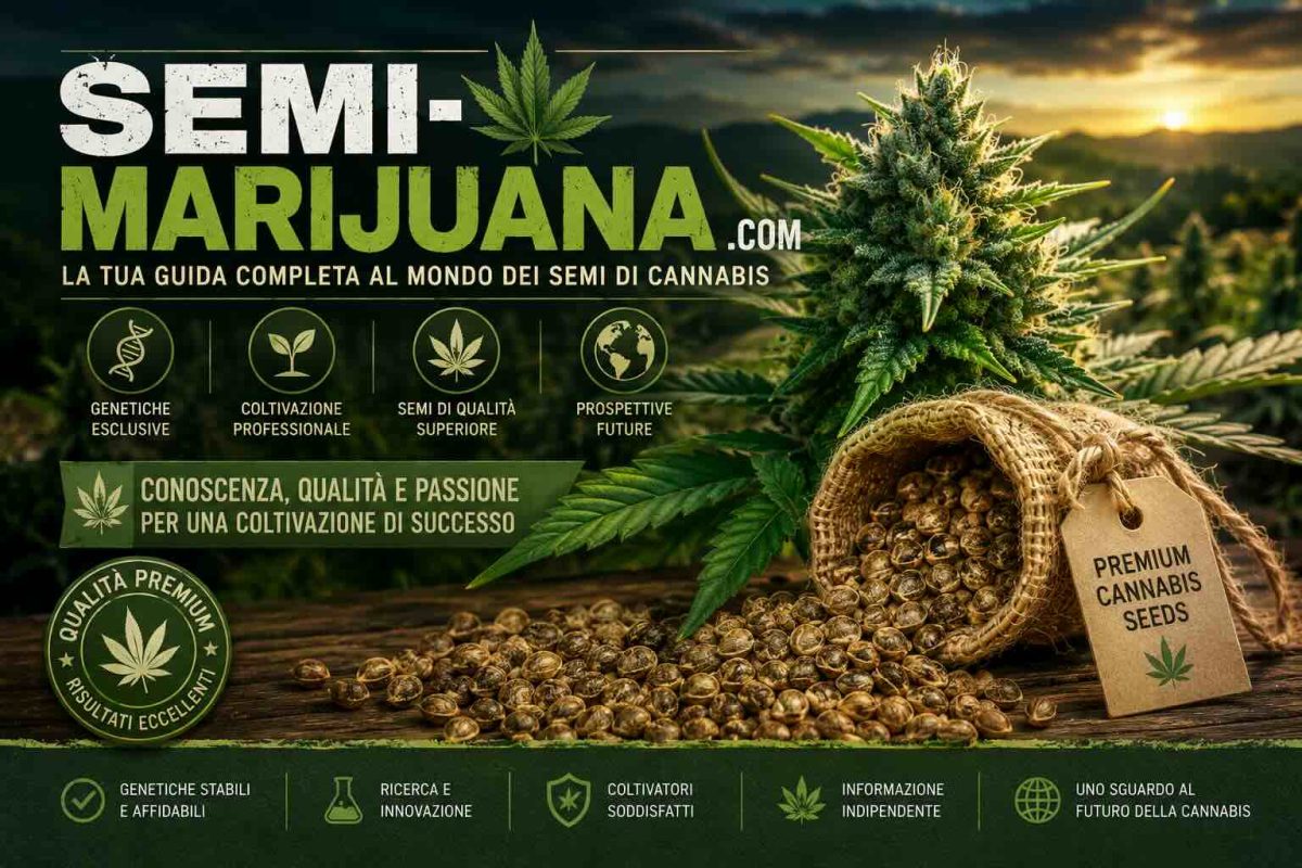semi marijuana